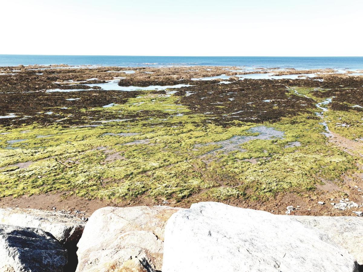 Le Temps d'une Pause Bretignolles-sur-Mer Extérieur photo